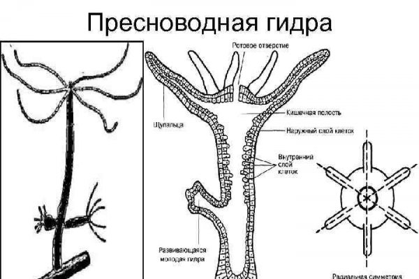 Кракен сайт 17at