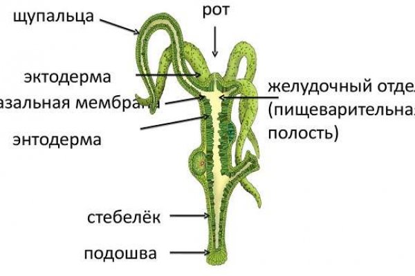 Кракен сайт официальный kraken014 com